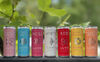 Lüvo cans, March early evening